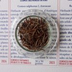 Cosmos sulfureux Kiko - photo 2